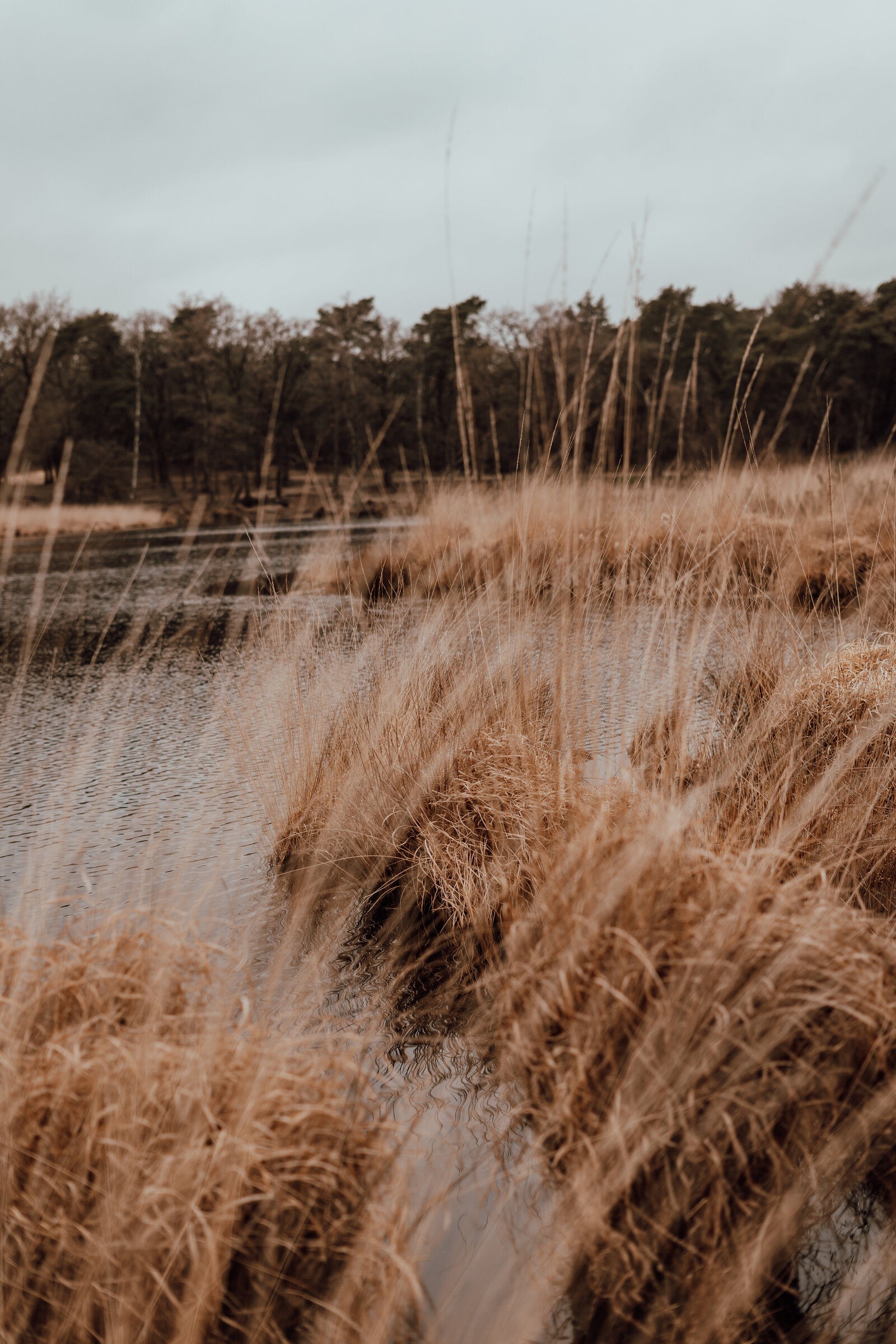 Chantal Rieswijk Fotografie — photo 2