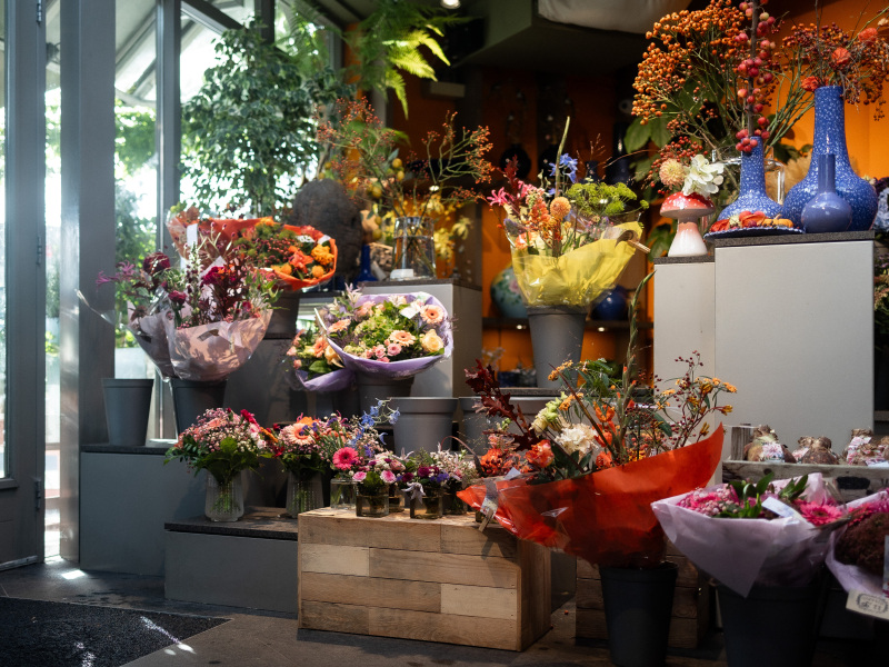 Bloemenvink — foto 2