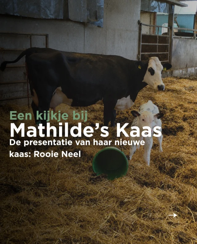 Kaasfort Amsterdam — photo 5