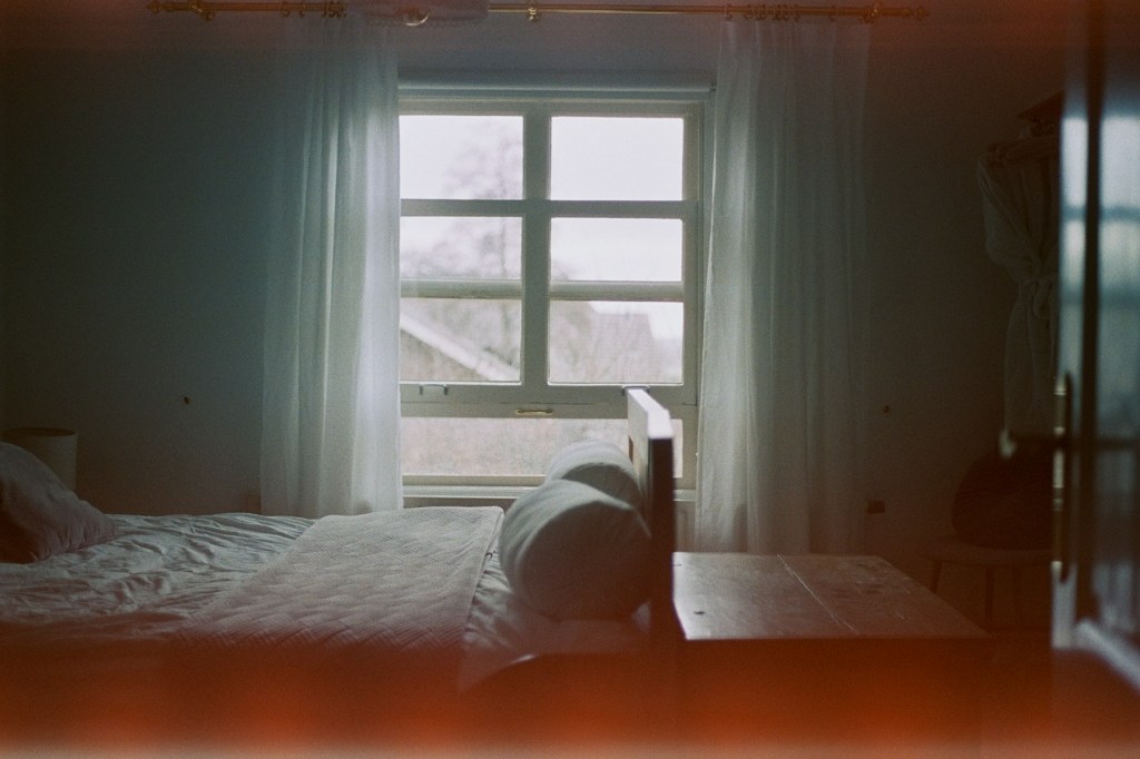 Oak and Blush — photo 3