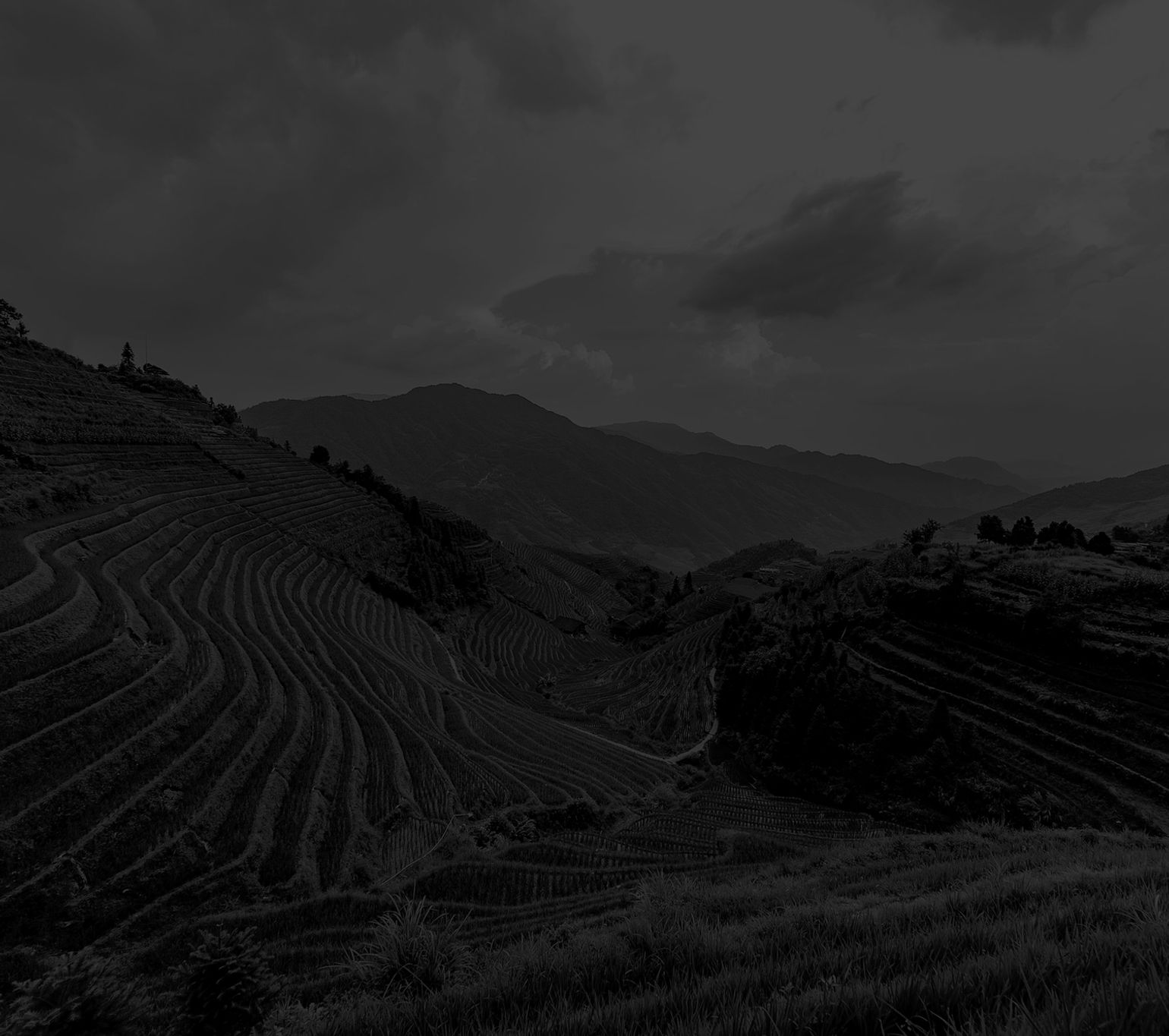 Talboom fotografie — photo 3