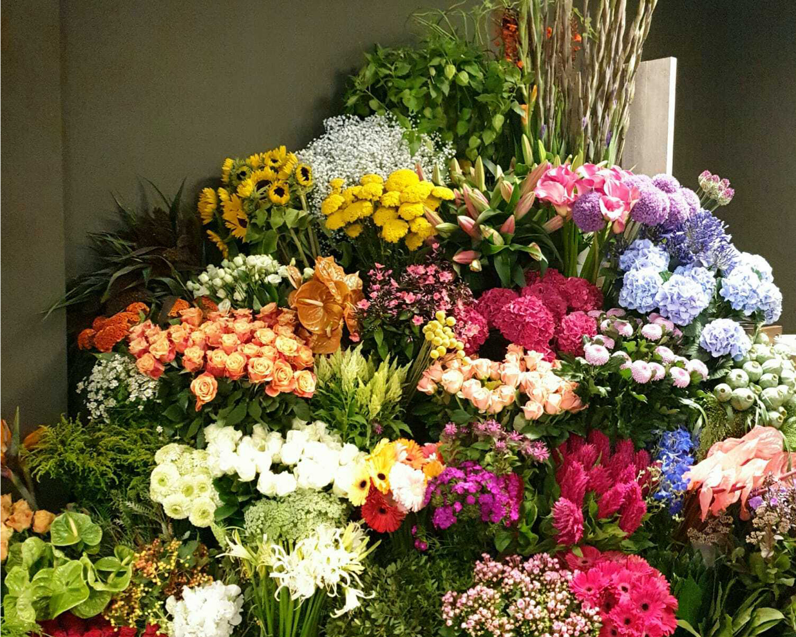 Roses & More — photo 2