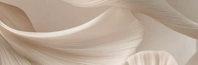 Studio Lily Rose — photo 2
