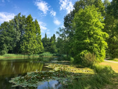 Von Gimborn Arboretum — photo 3