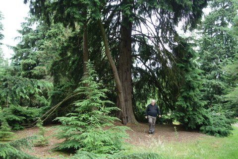 Von Gimborn Arboretum — photo 4