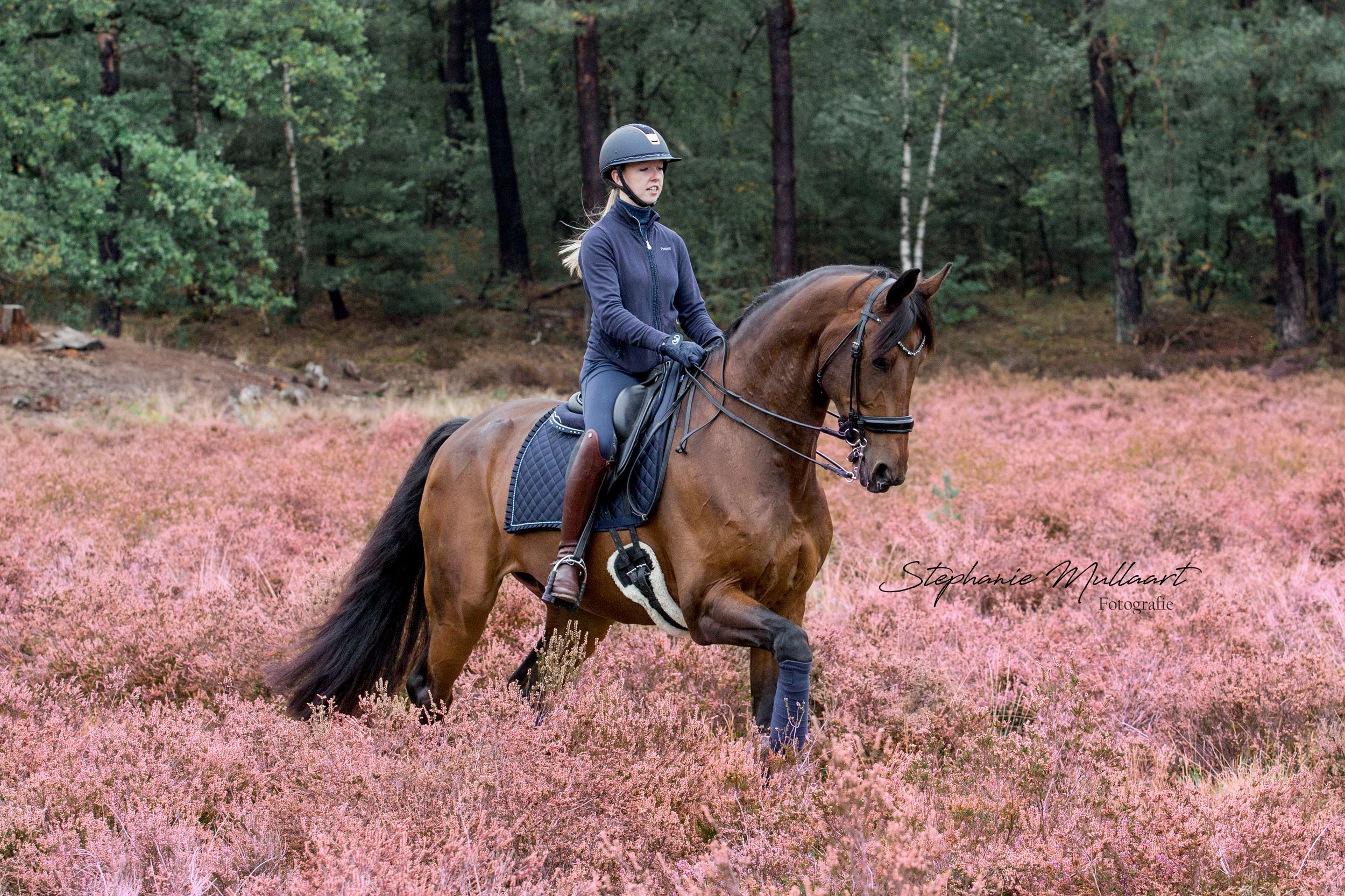 Stephanie Mullaart Fotografie