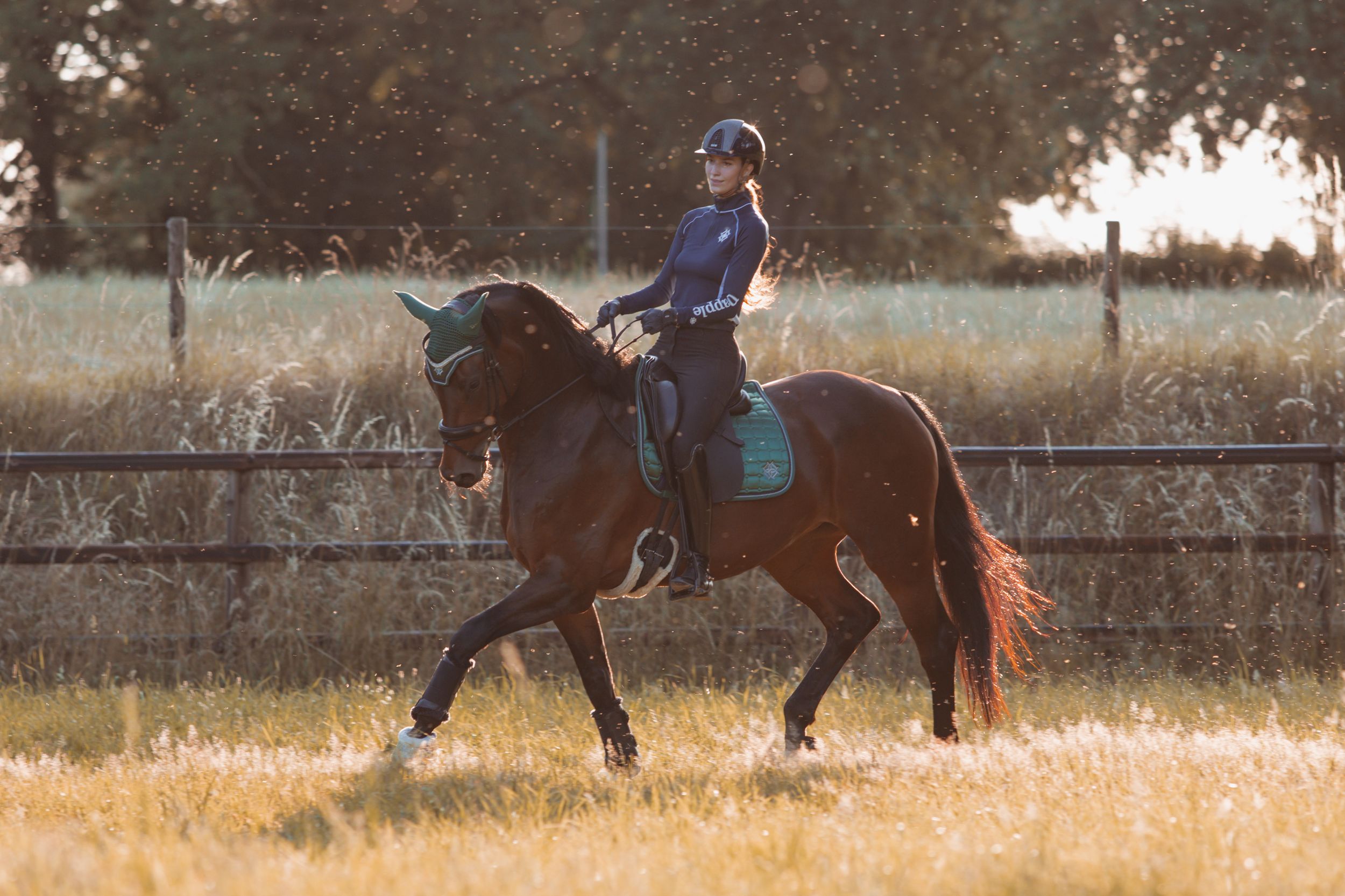 Stephanie Mullaart Fotografie — foto 4