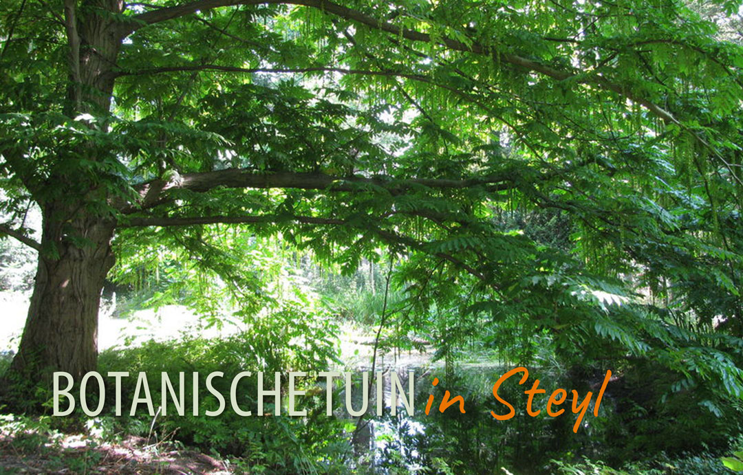 Botanische Tuin Jochumhof — foto 2