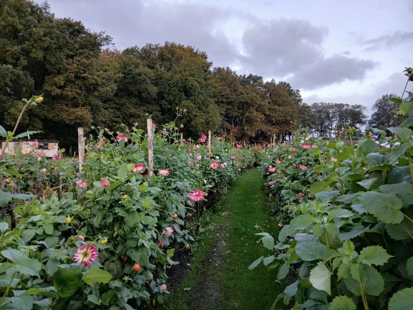 Pluktuin Stoutenburg — photo 3