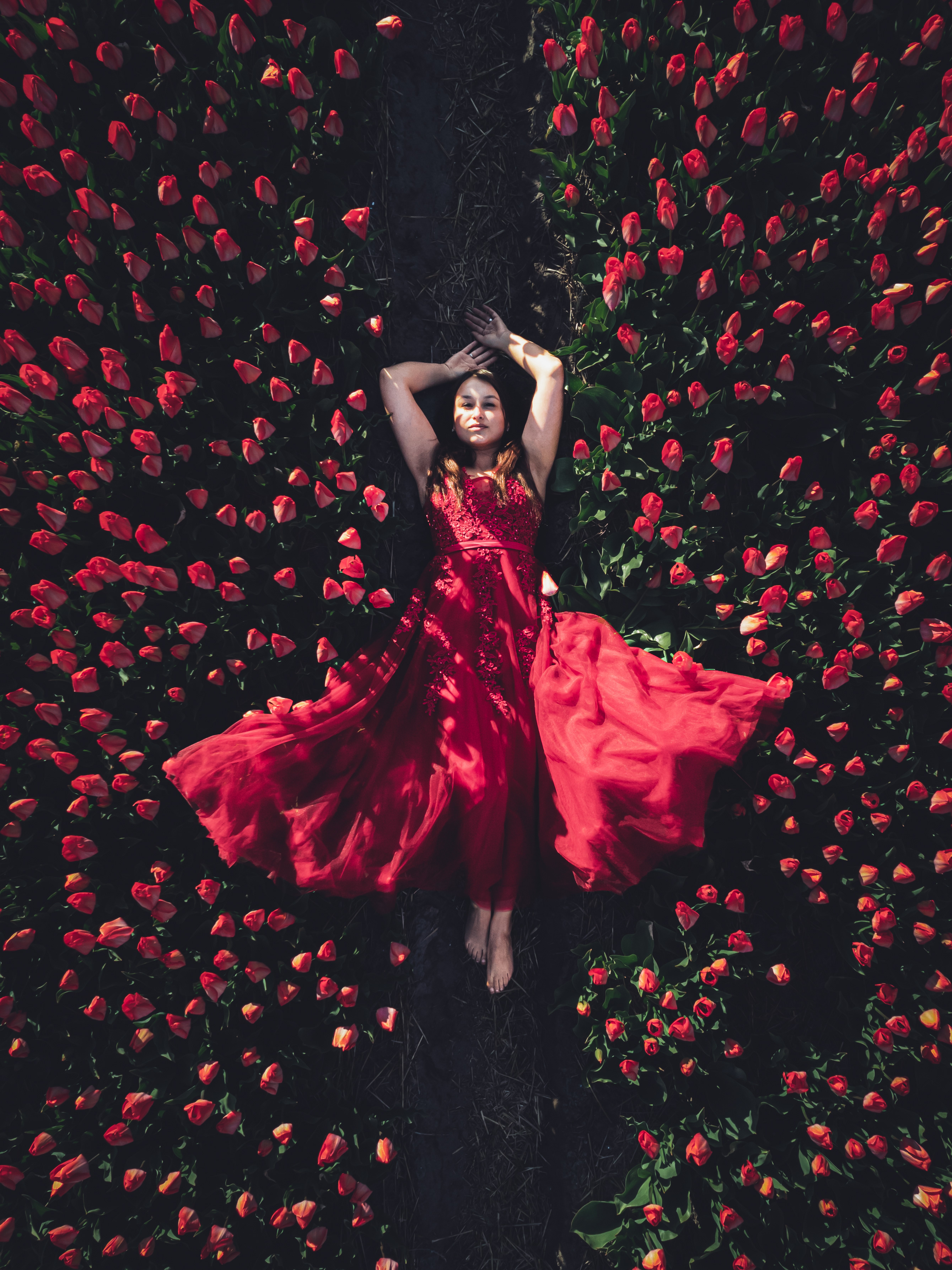 Siron Media — photo 3