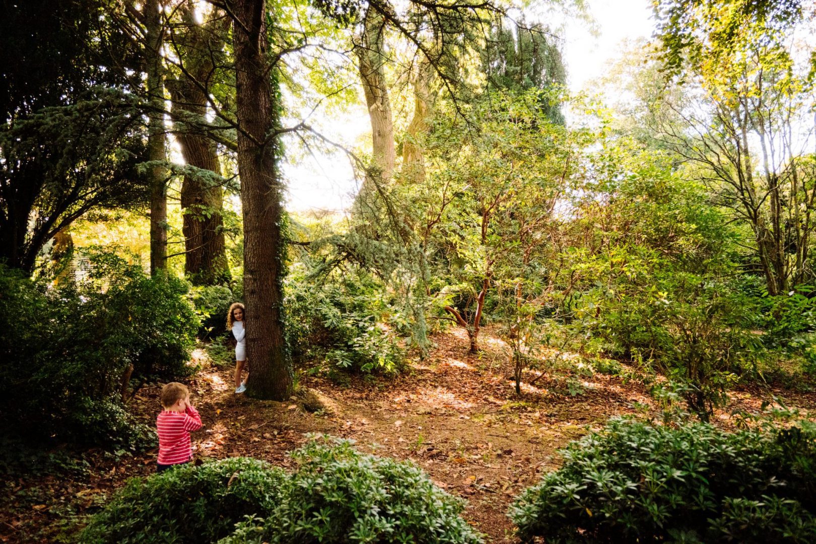 Mount Congreve Gardens — photo 4