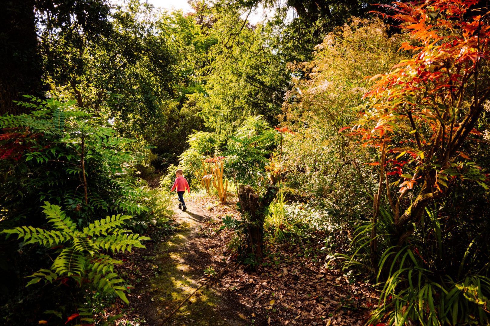 Mount Congreve Gardens — photo 5