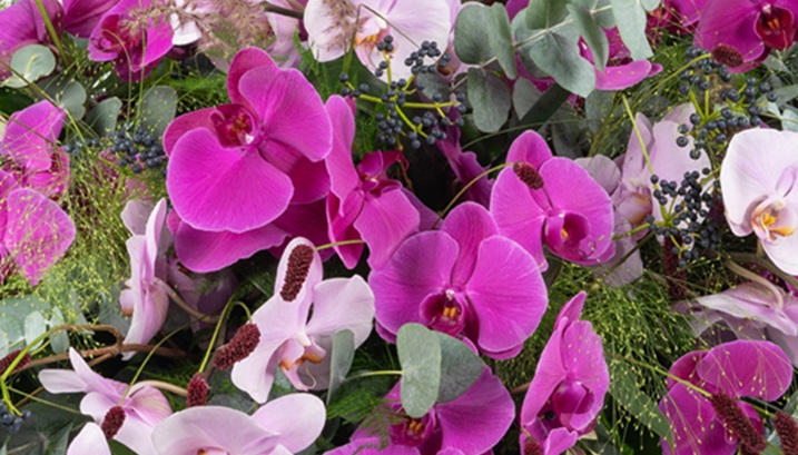 Fred's Bloementeam — photo 2