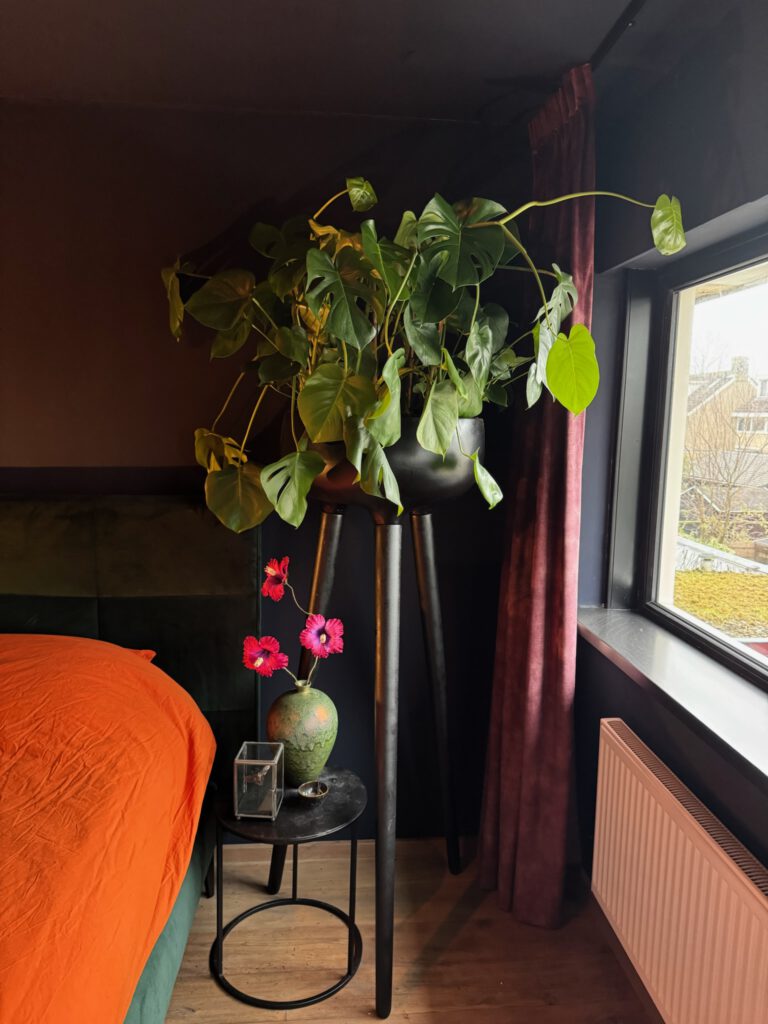 The Rebel Season — photo 4