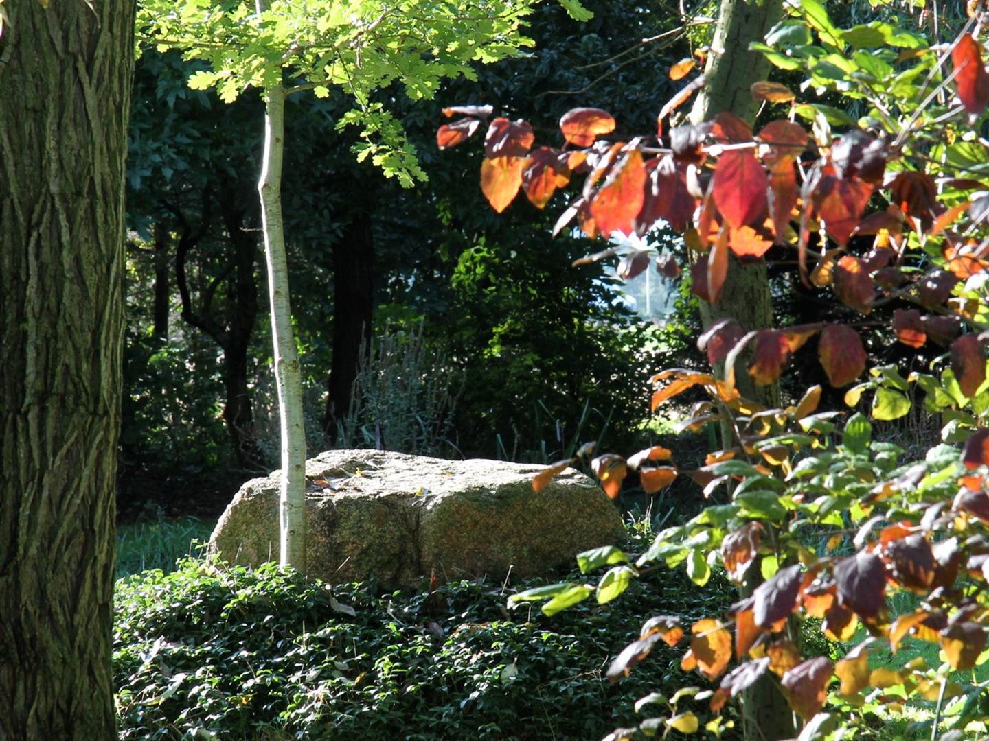Landschapstuin ’t Struweel — photo 2