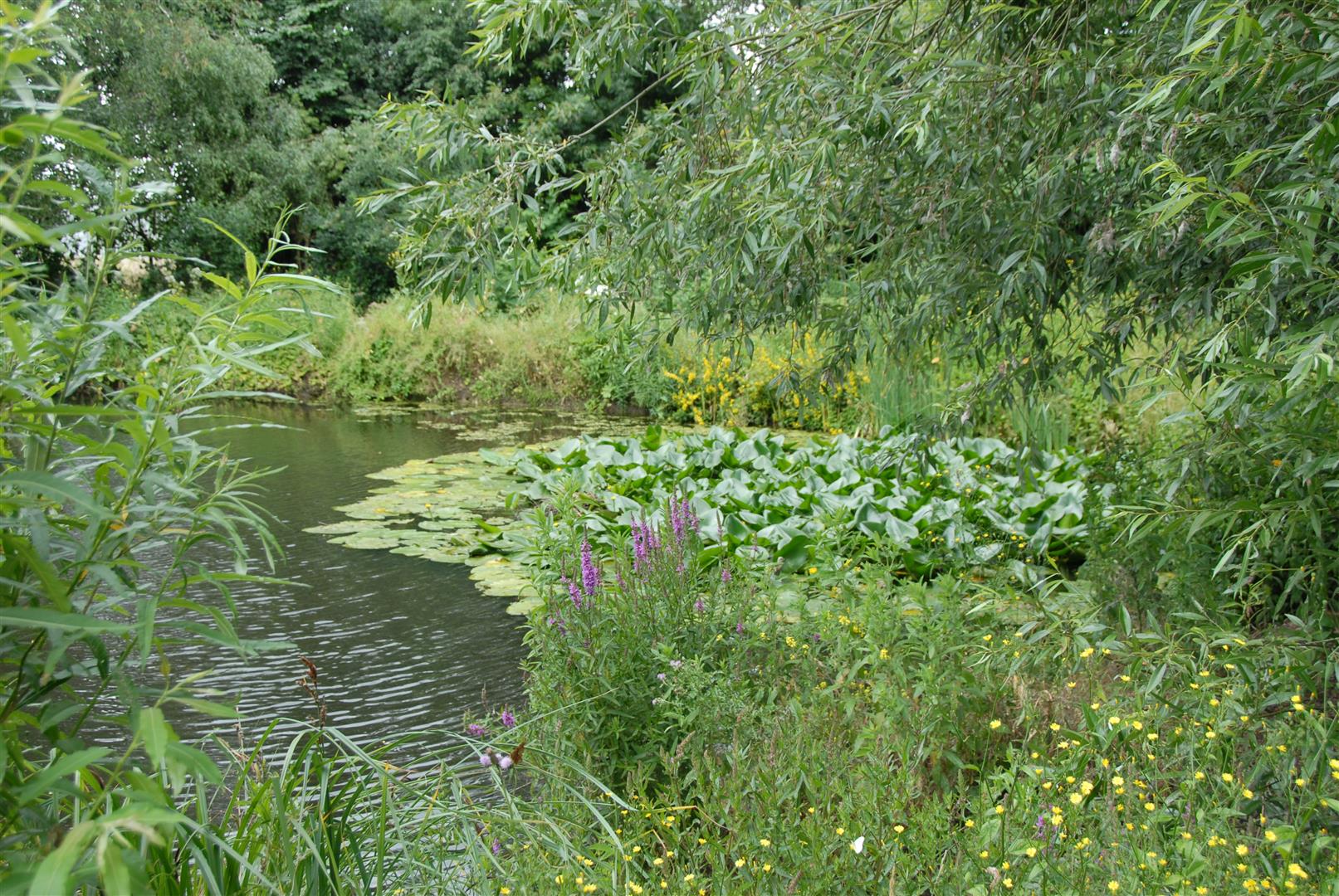 Landschapstuin ’t Struweel — photo 4