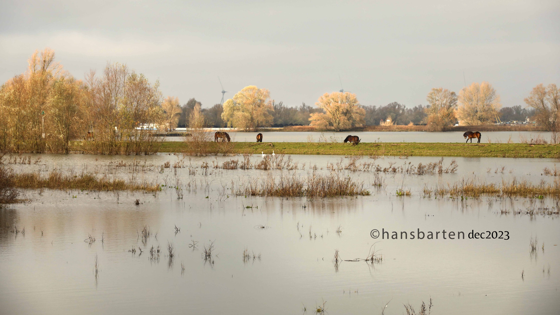Hans Barten Fotografie — photo 2