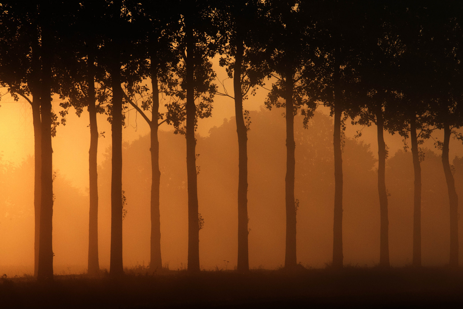 Hans Barten Fotografie — photo 4
