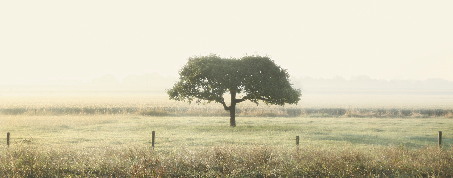 Hans Barten Fotografie — photo 5