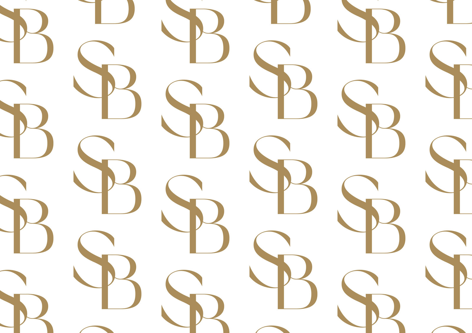 The Smoothbooth — photo 3