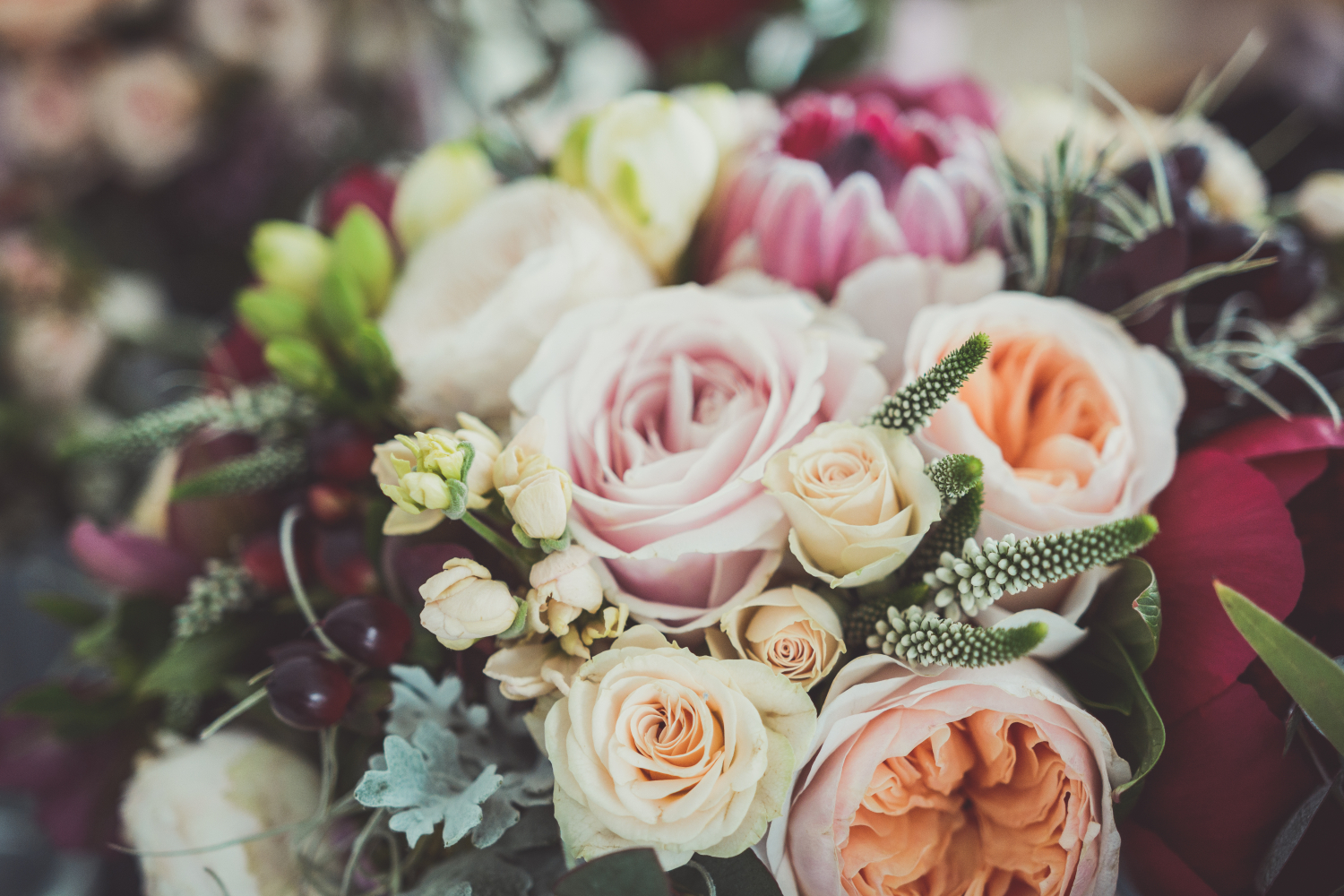 Toff Bloemen — photo 2