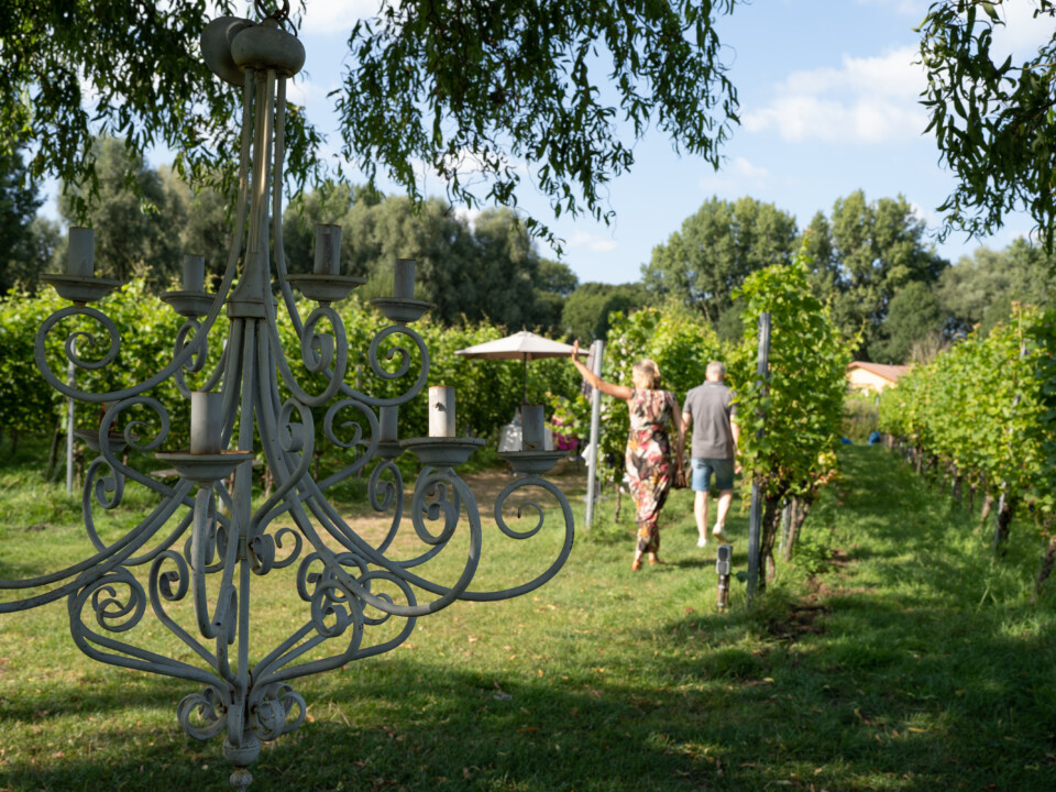 De Amsteltuin — photo 3