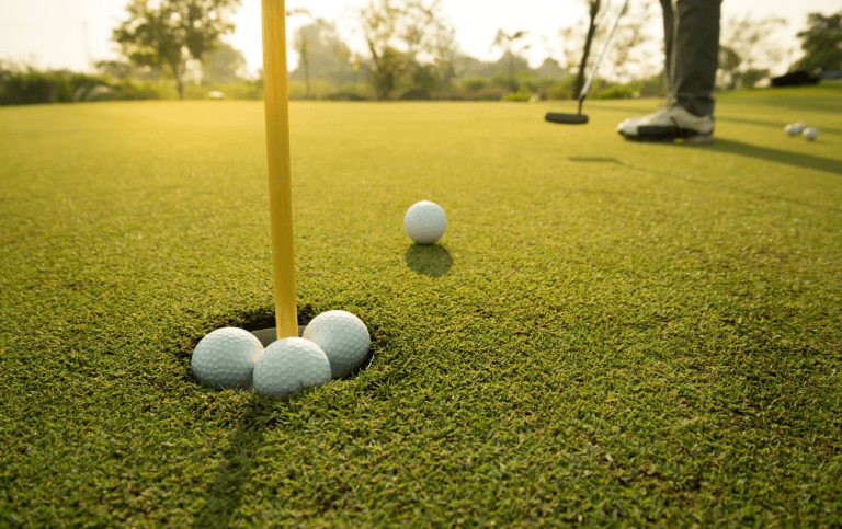 De Goese Golf — photo 3