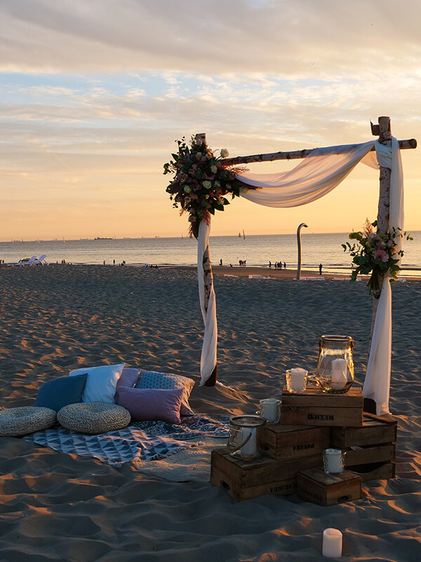 Plan my Proposal — photo 2