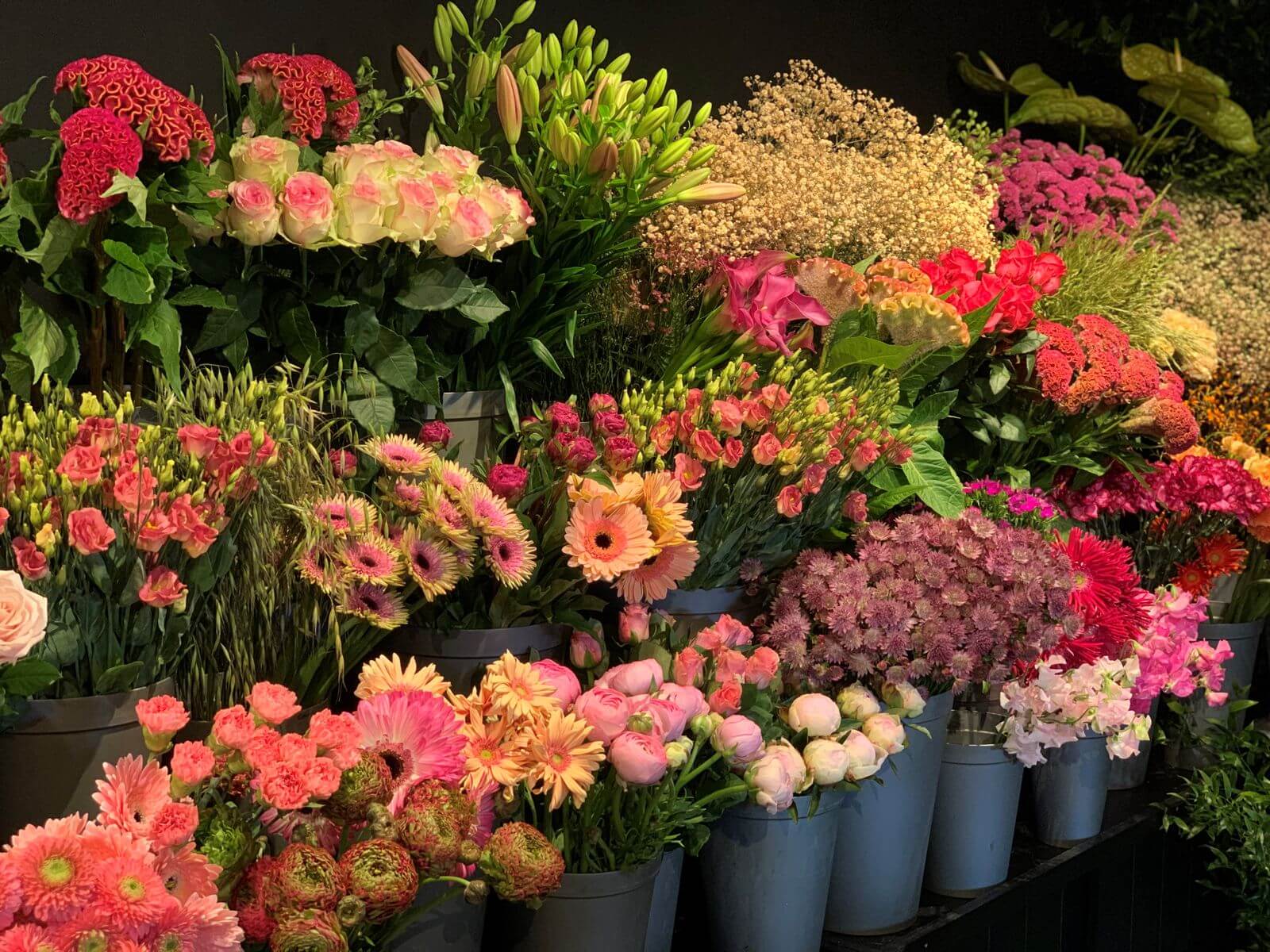 Bloem beleving — photo 2