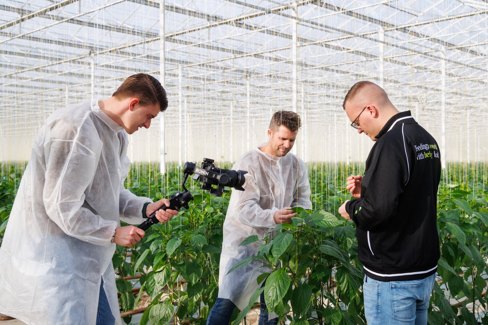 De Winter Videoproducties — foto 2