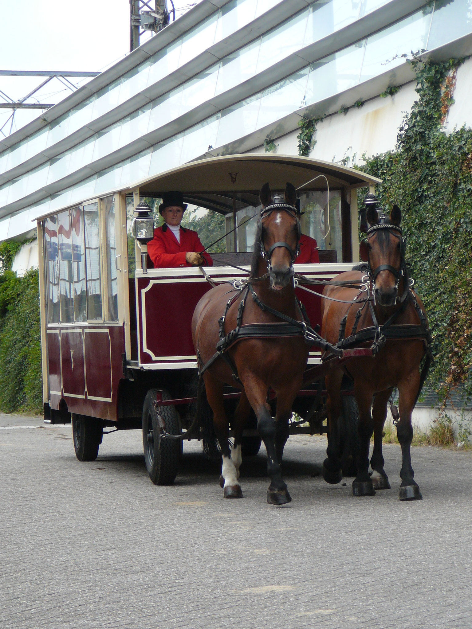 Stalhouderij -en Manege Vosse — photo 3