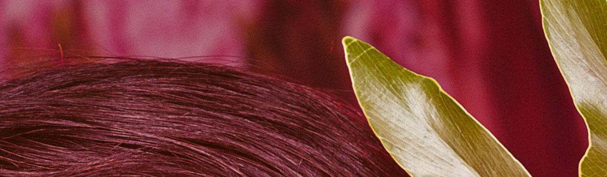 VanMarco - Hair & Welness — photo 2