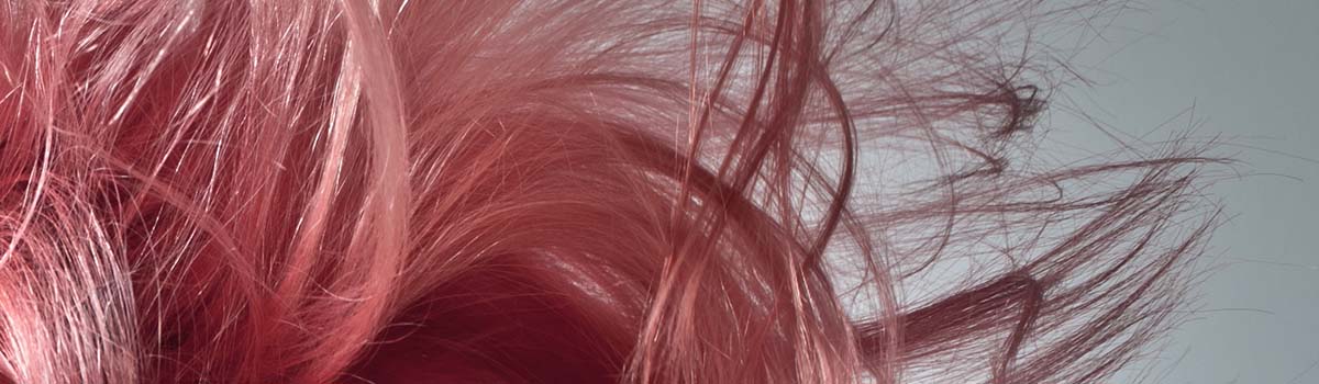 VanMarco - Hair & Welness — photo 4