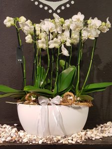 Bloemenmeisje.nl — foto 5