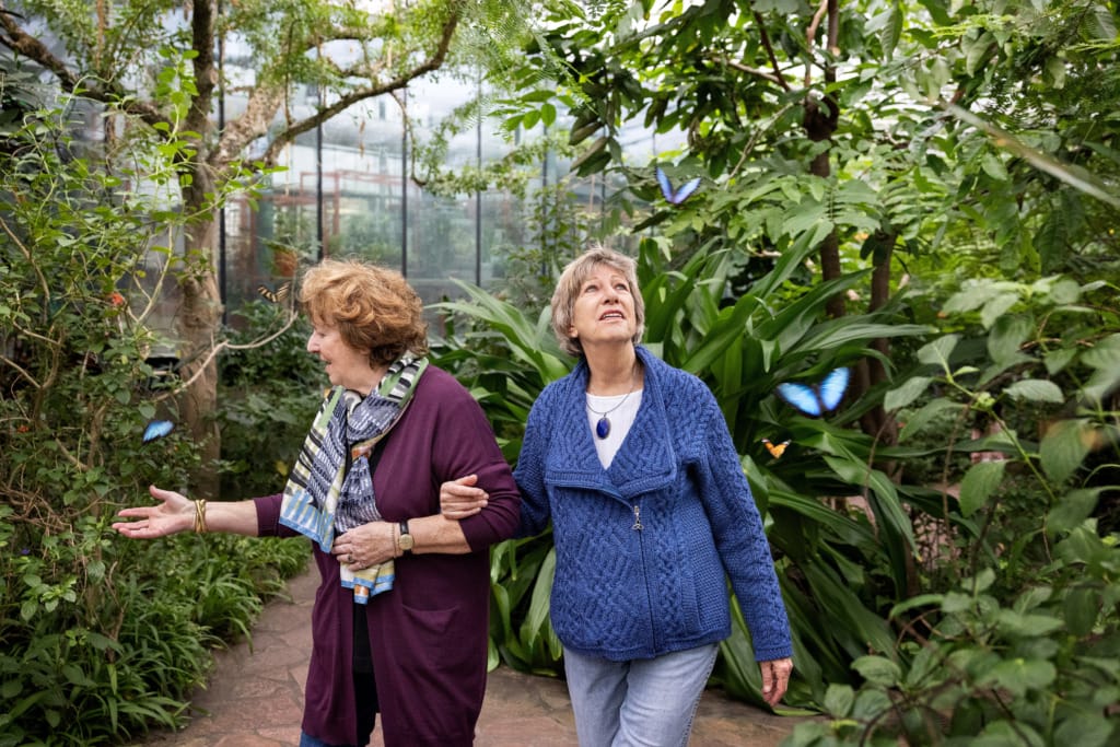 Johan Van Delft fotografie