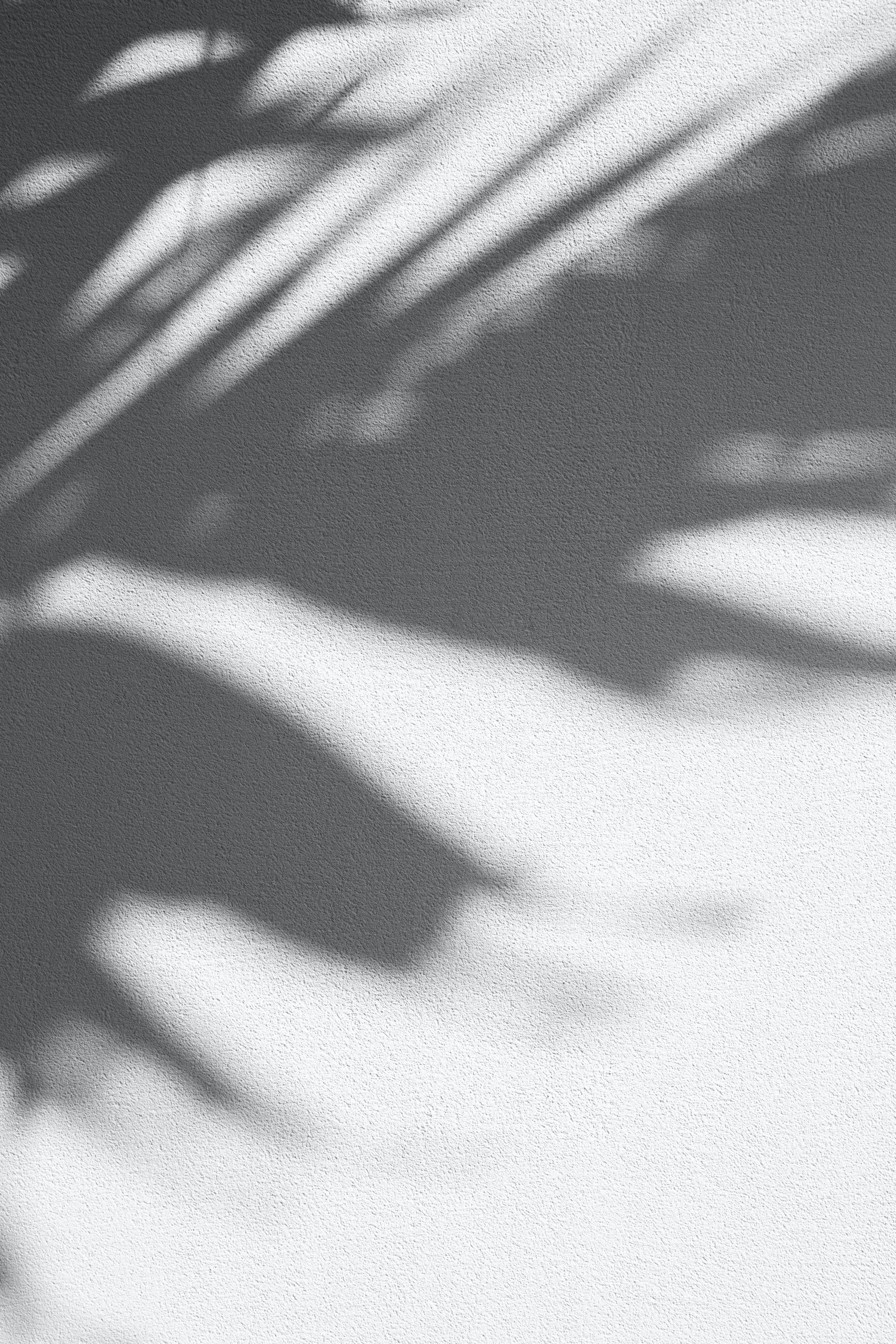 Emmily B. — photo 2