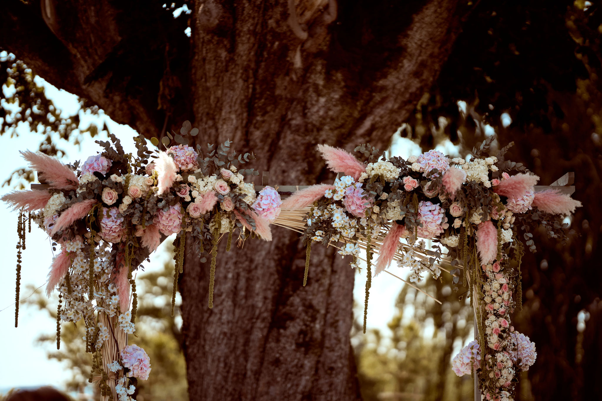 L'Espace Beltane — photo 4