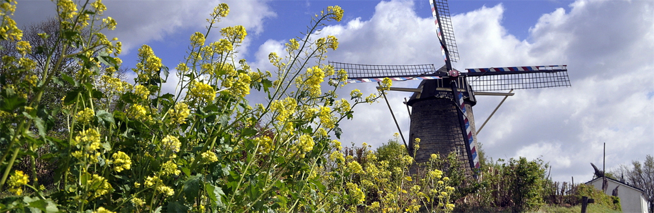Gemeente Eijsden-Margraten