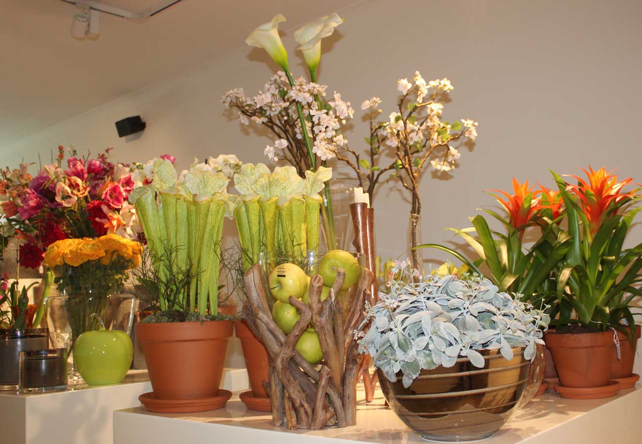 About Flowers — photo 3