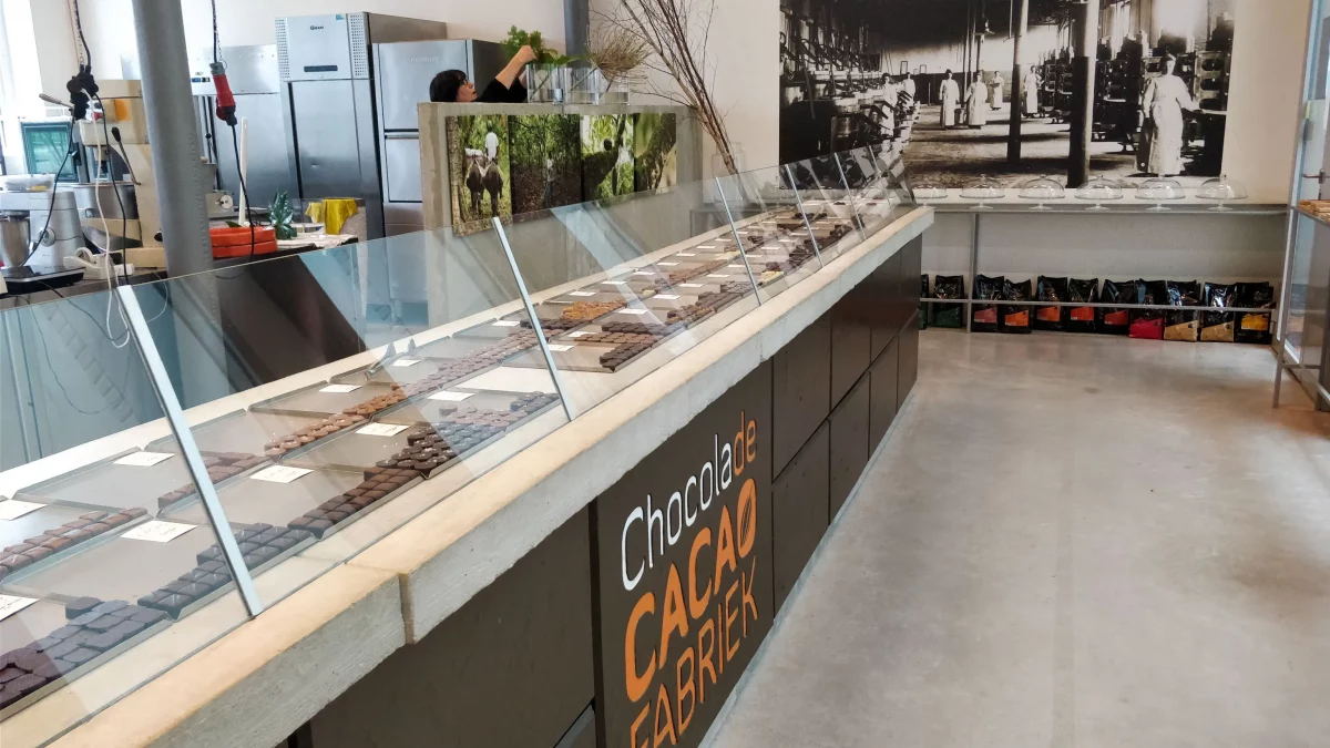 ChocolaDeCacaofabriek — photo 3