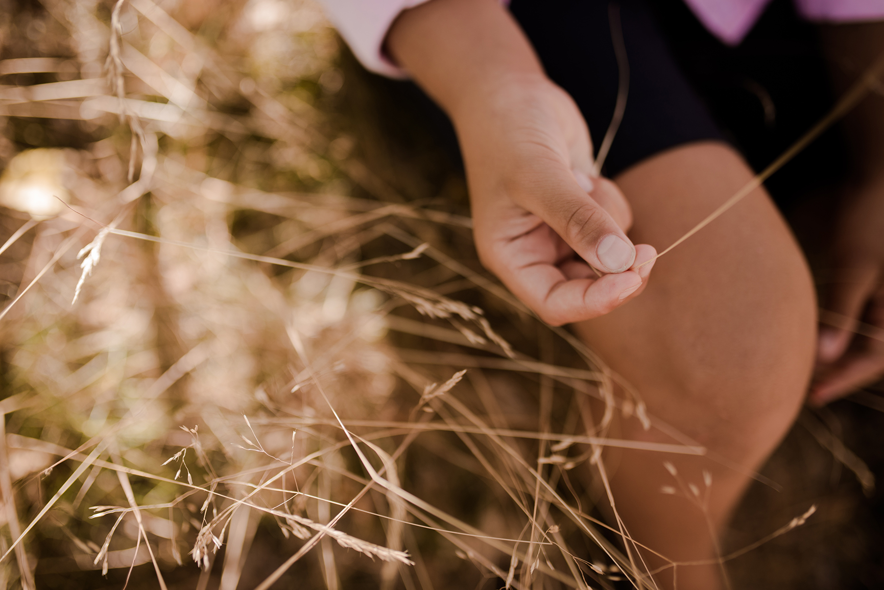 Sasien Photography — photo 2