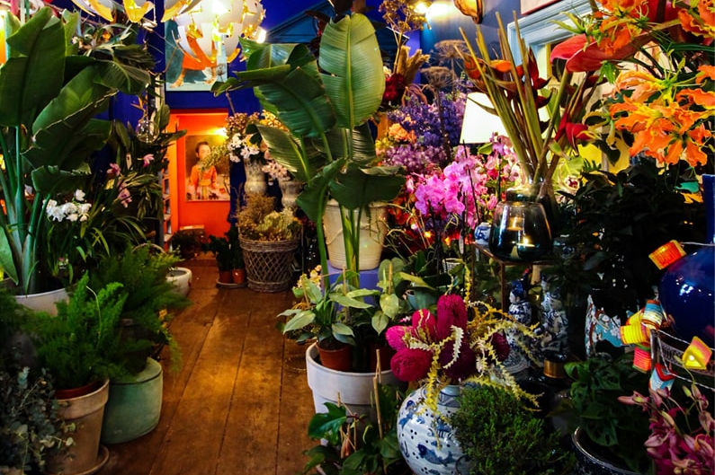 Faas est.2016 Flowers and more — photo 2