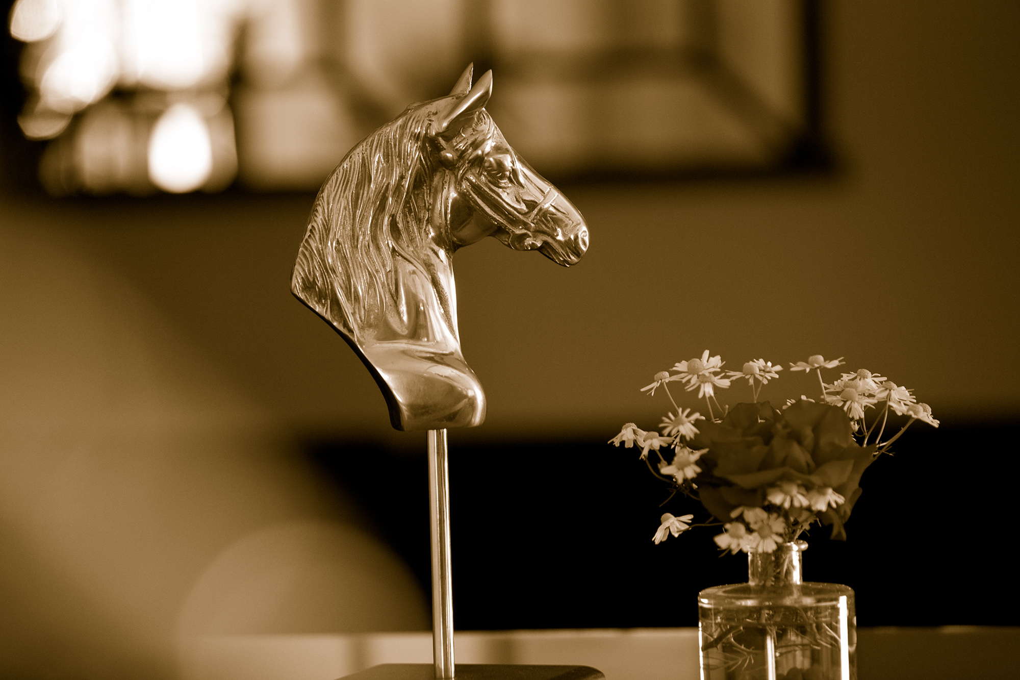De Paardenstal