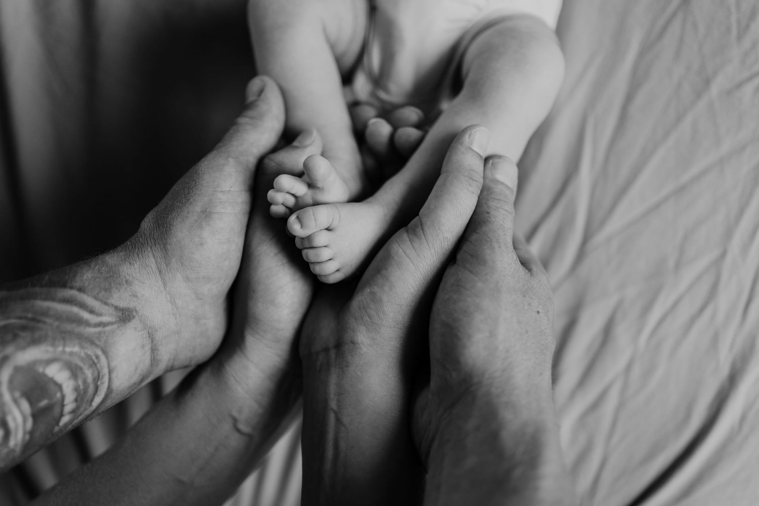 Ziet fotografie — foto 4