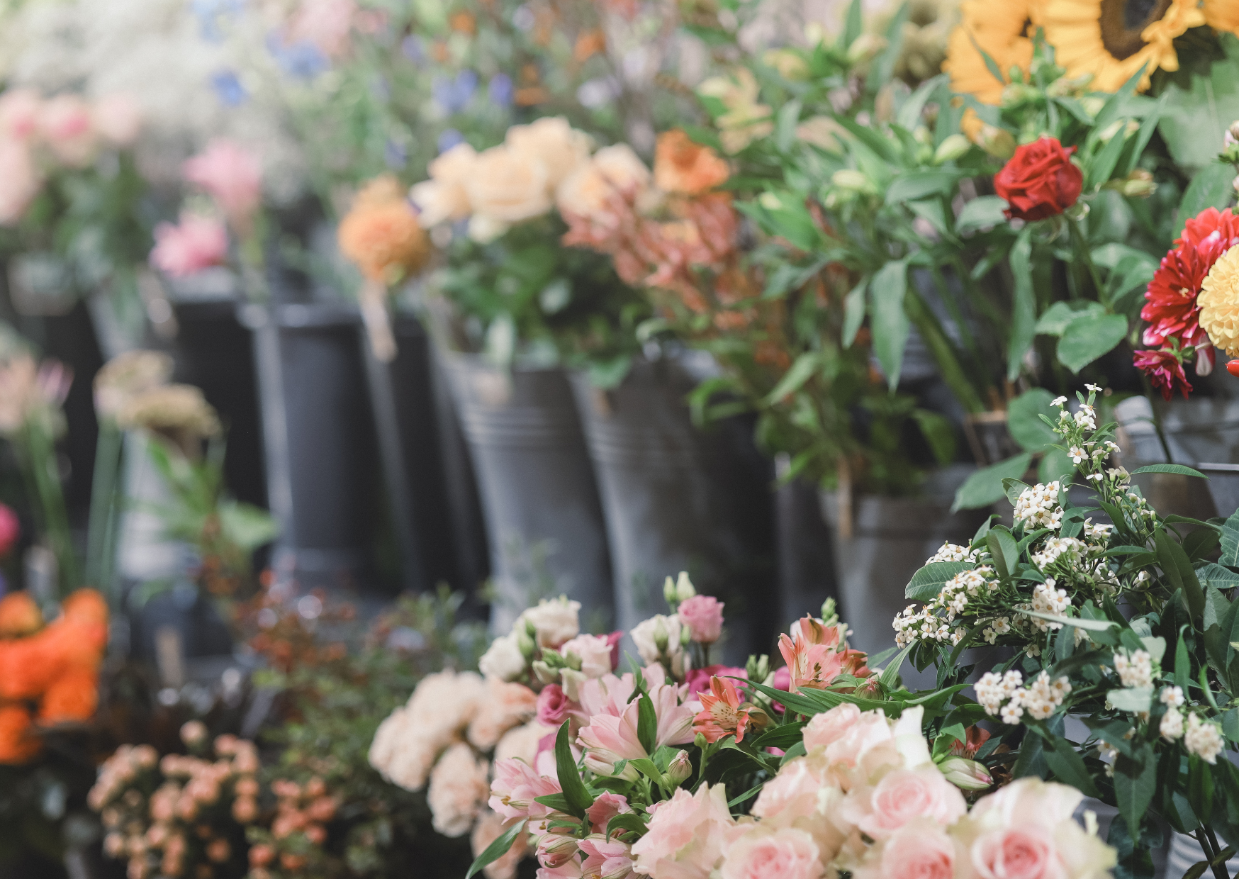 de Fleurschuur — photo 2