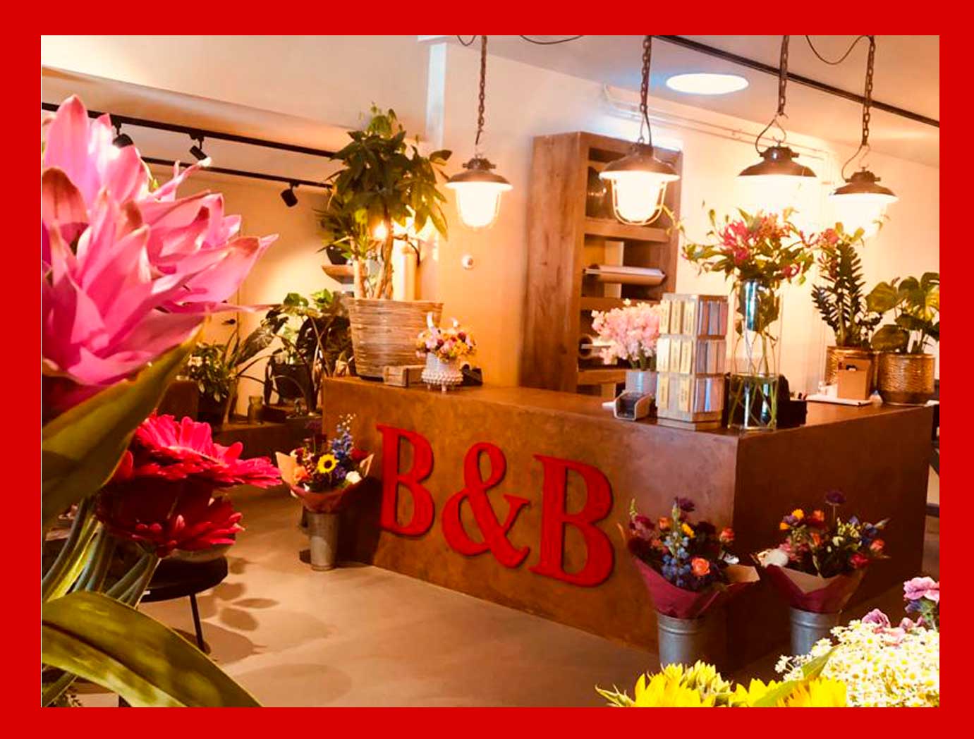 B&B Bloemen Haarlem — photo 2
