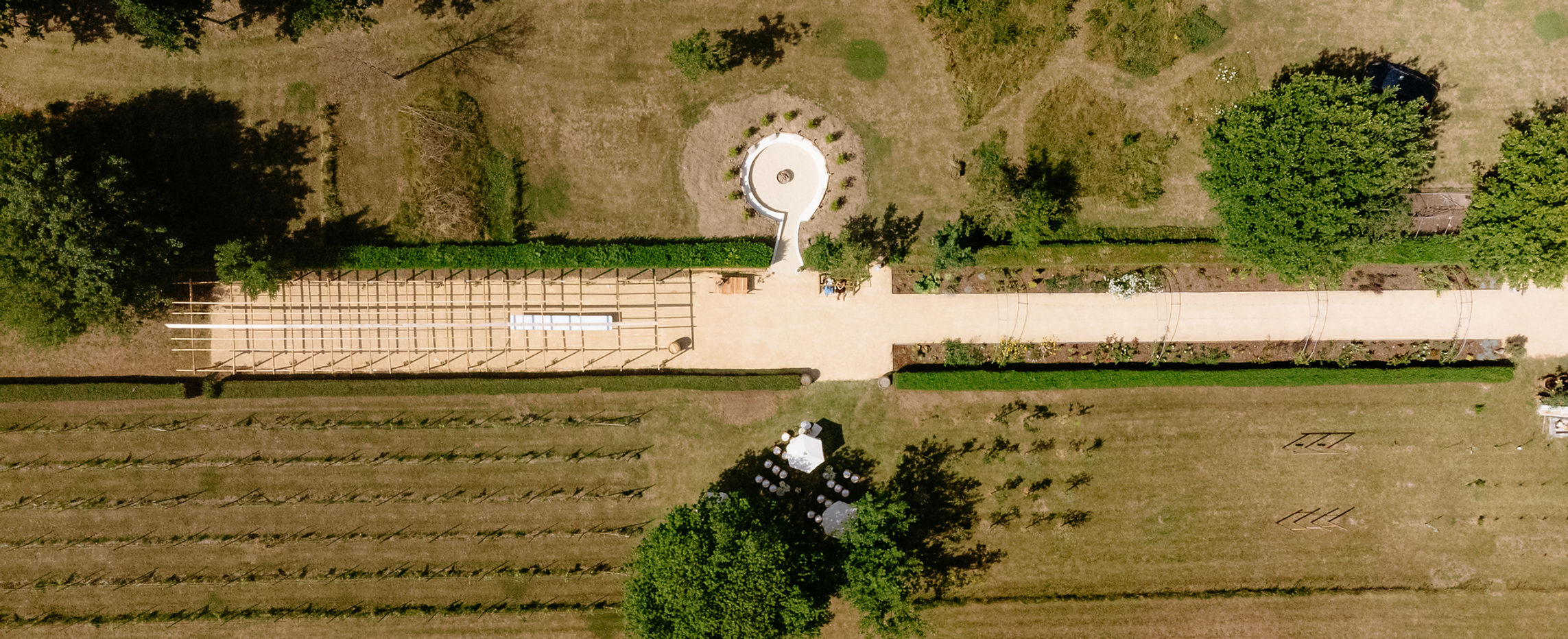 Vineyard Vibes — photo 2