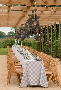 Vineyard Vibes — photo 3