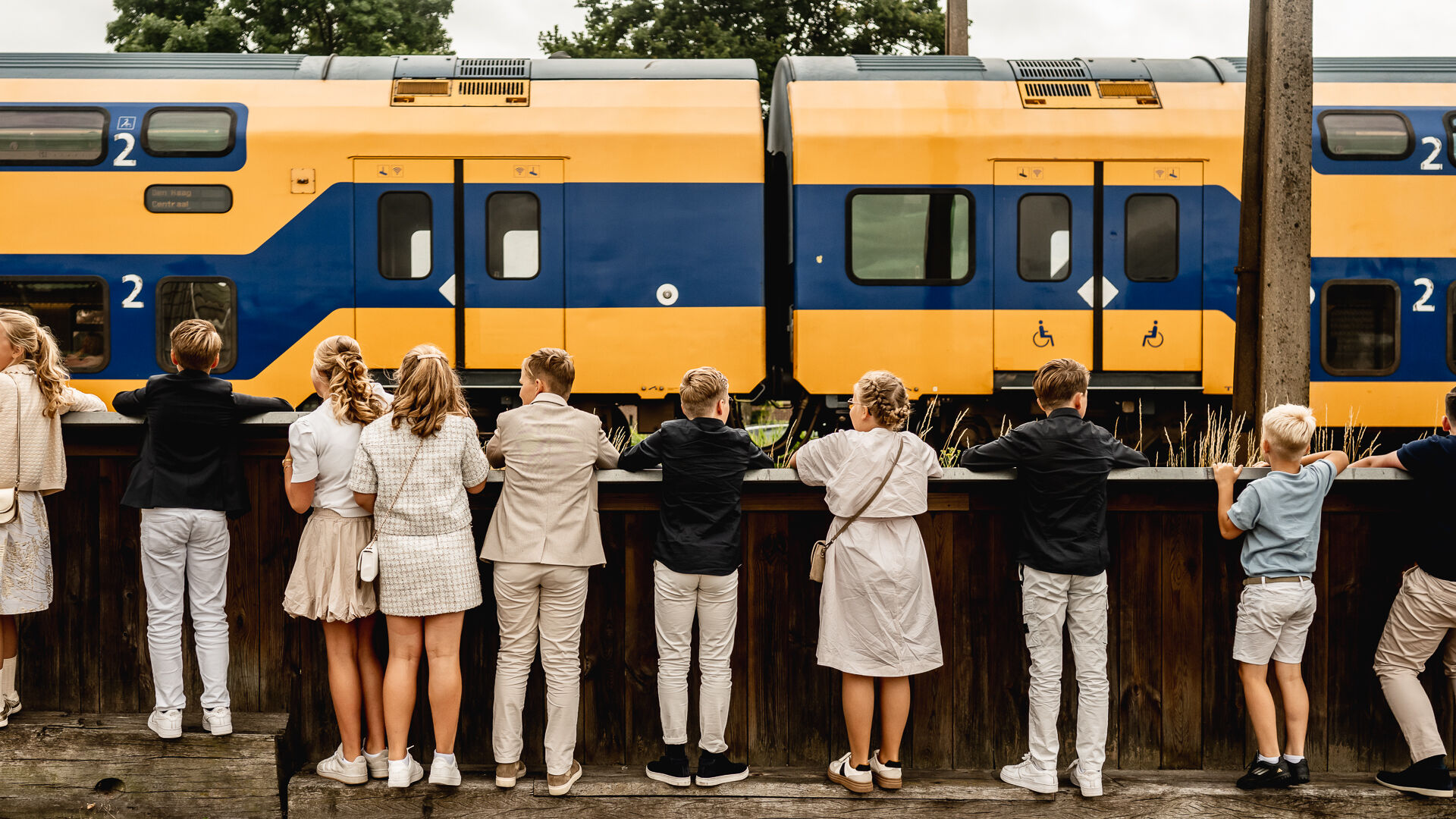 Foto van Roos — photo 2