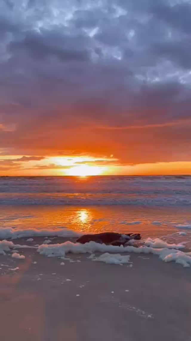 Bronze Beach — photo 4